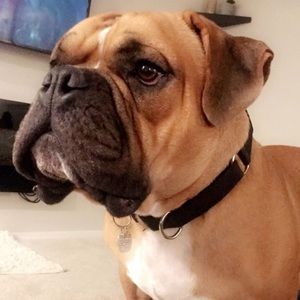 Meet your Posher, Hope